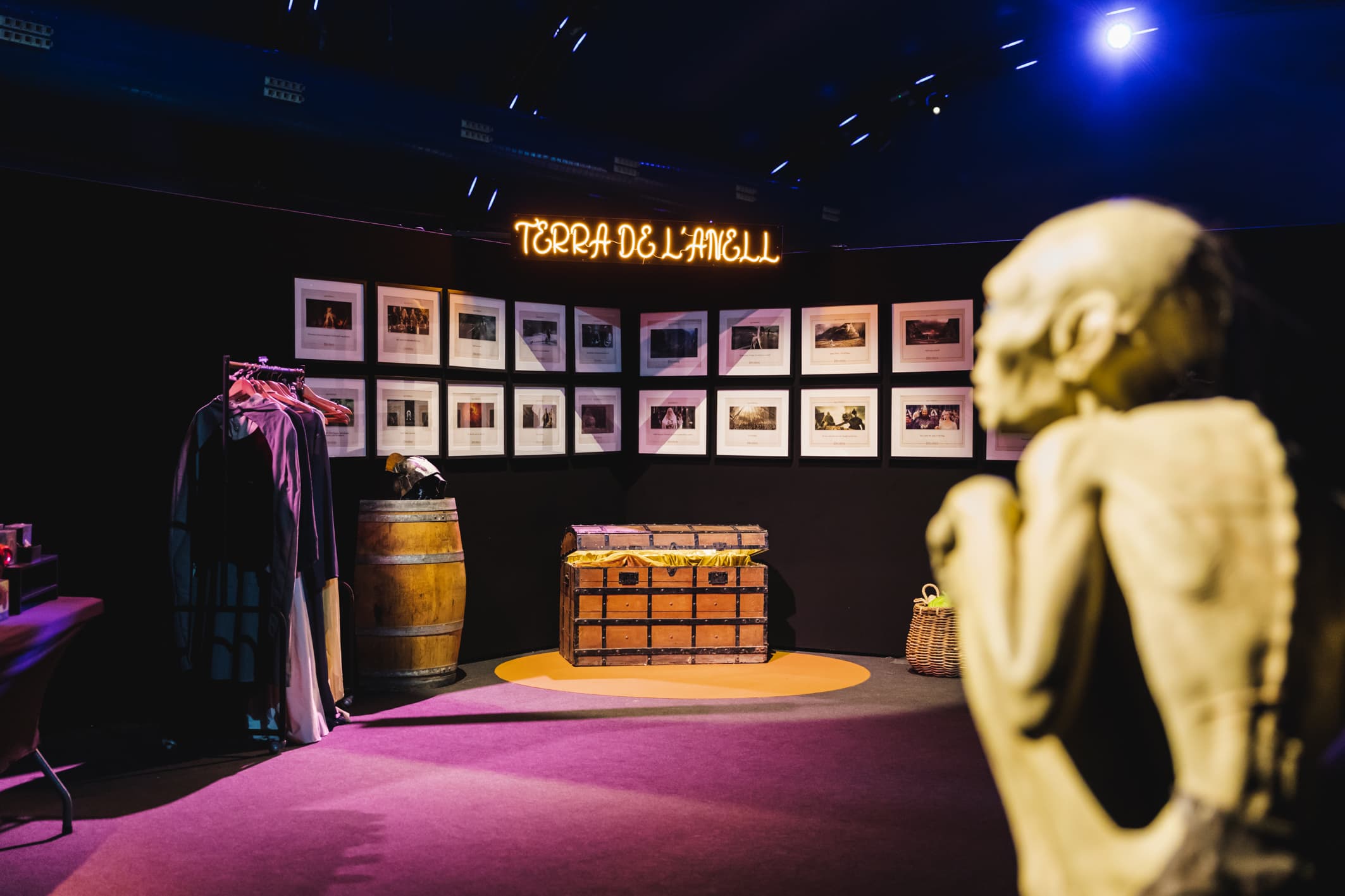 EXPOSICIÓ TERRA DE L'ANELL