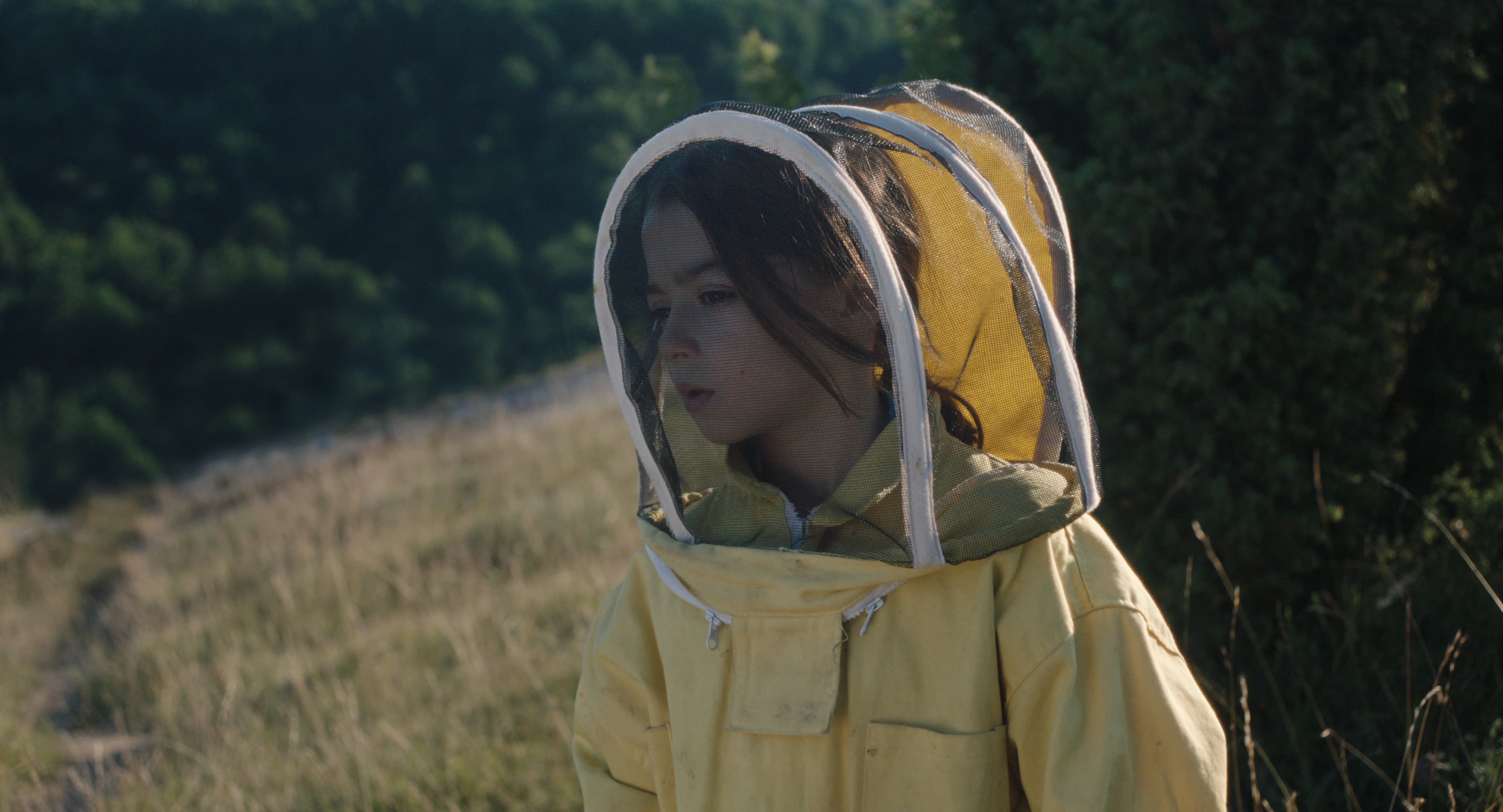 20.000 ESPECIES DE ABEJAS