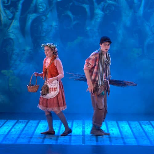 Hansel i Gretel, el musical