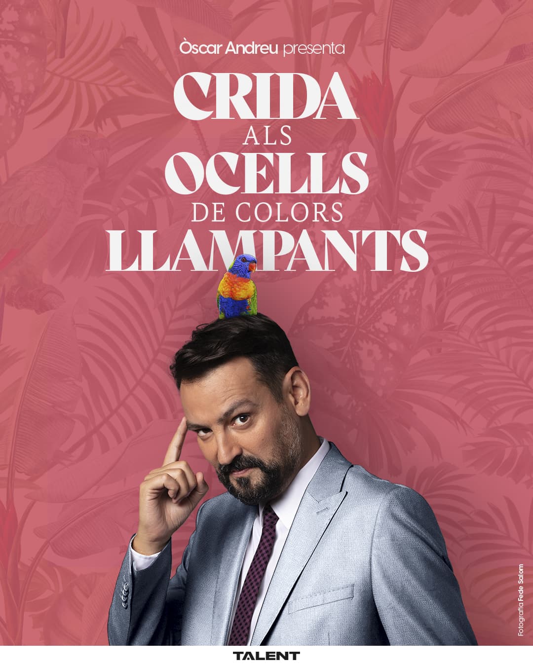 CRIDA ALS OCELLS DE COLORS LLAMPANTS
