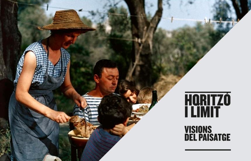 COMIDA EN LA HIERBA