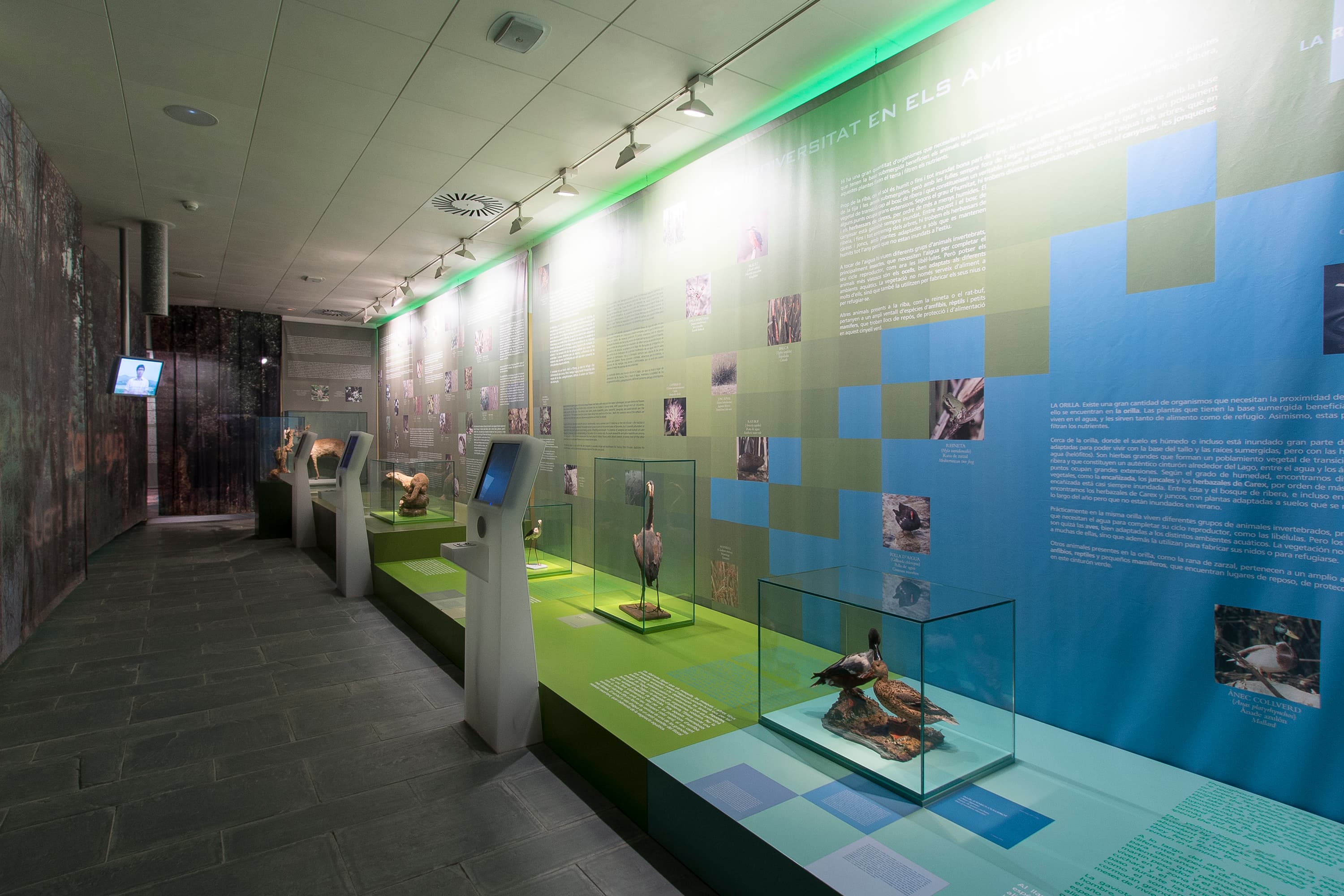 Visita lliure al Museu Darder