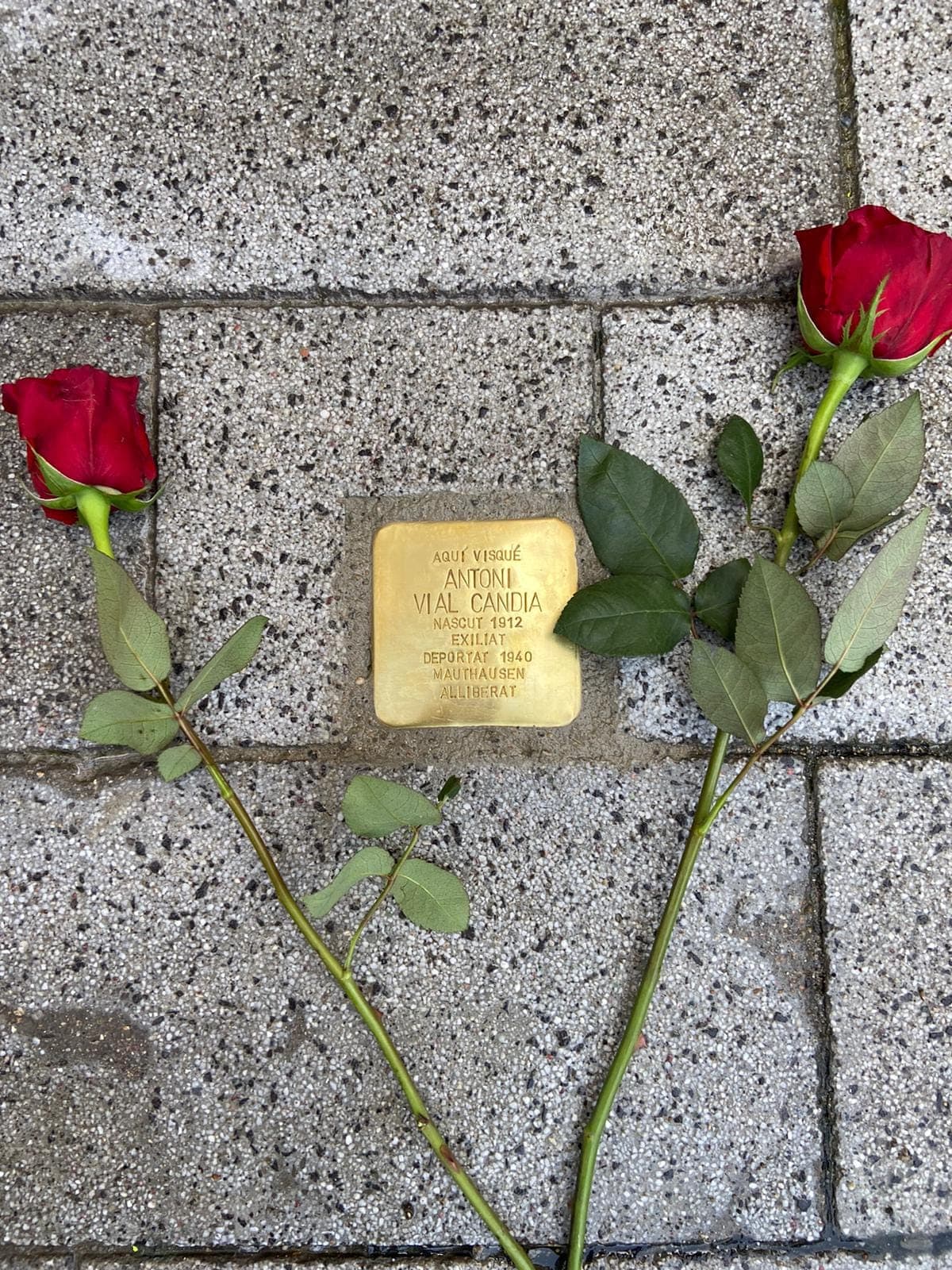 Visita guiada ‘Stolpersteine. Els urgellencs deportats als camps nazis’