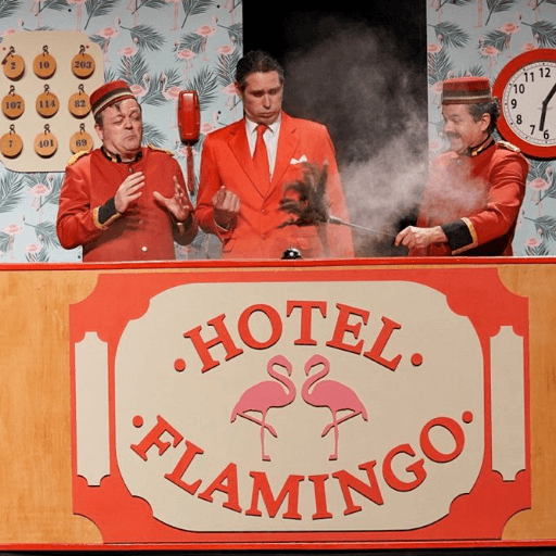 Hotel Flamingo de Clownic