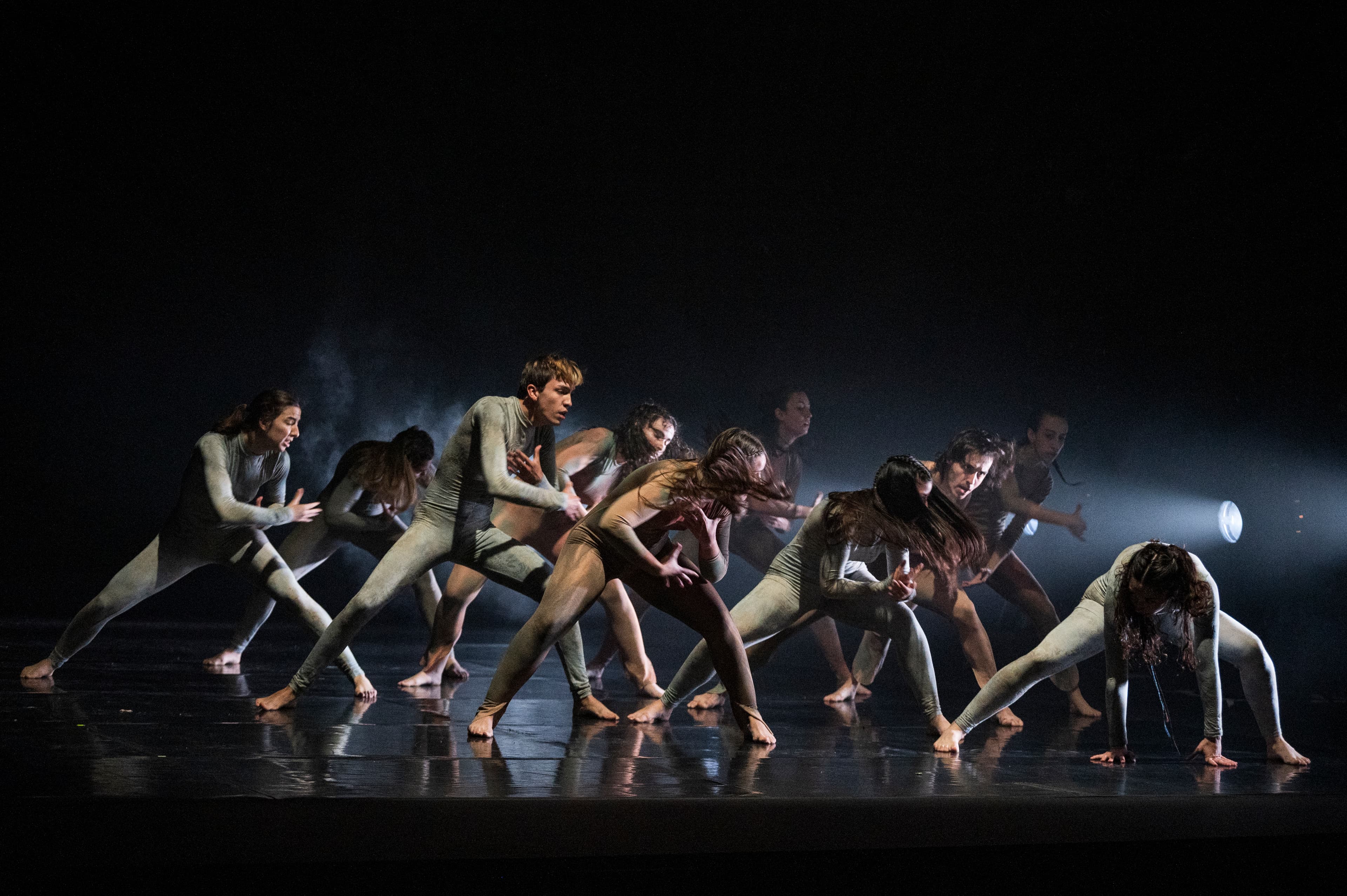 Mostra de repertoris