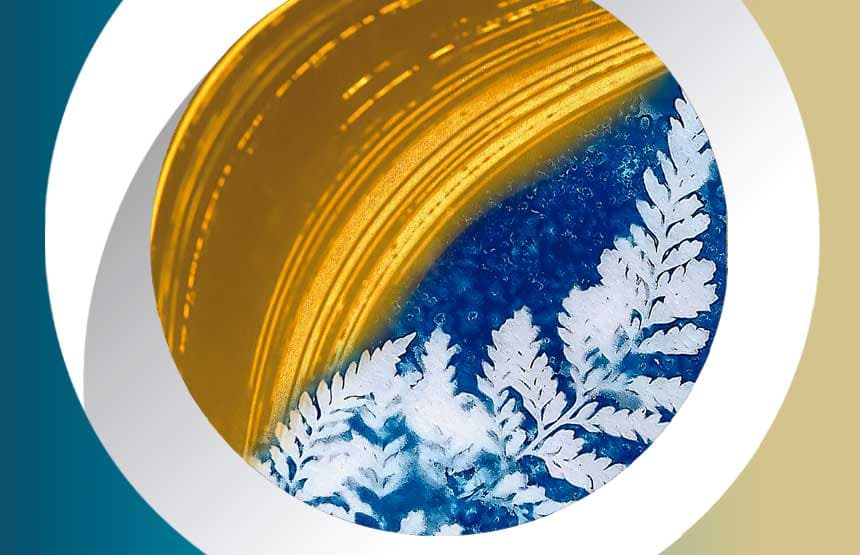 Explora: L'art del Sol