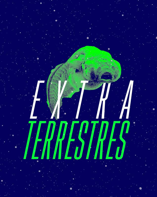 Visita comentada Extraterrestres