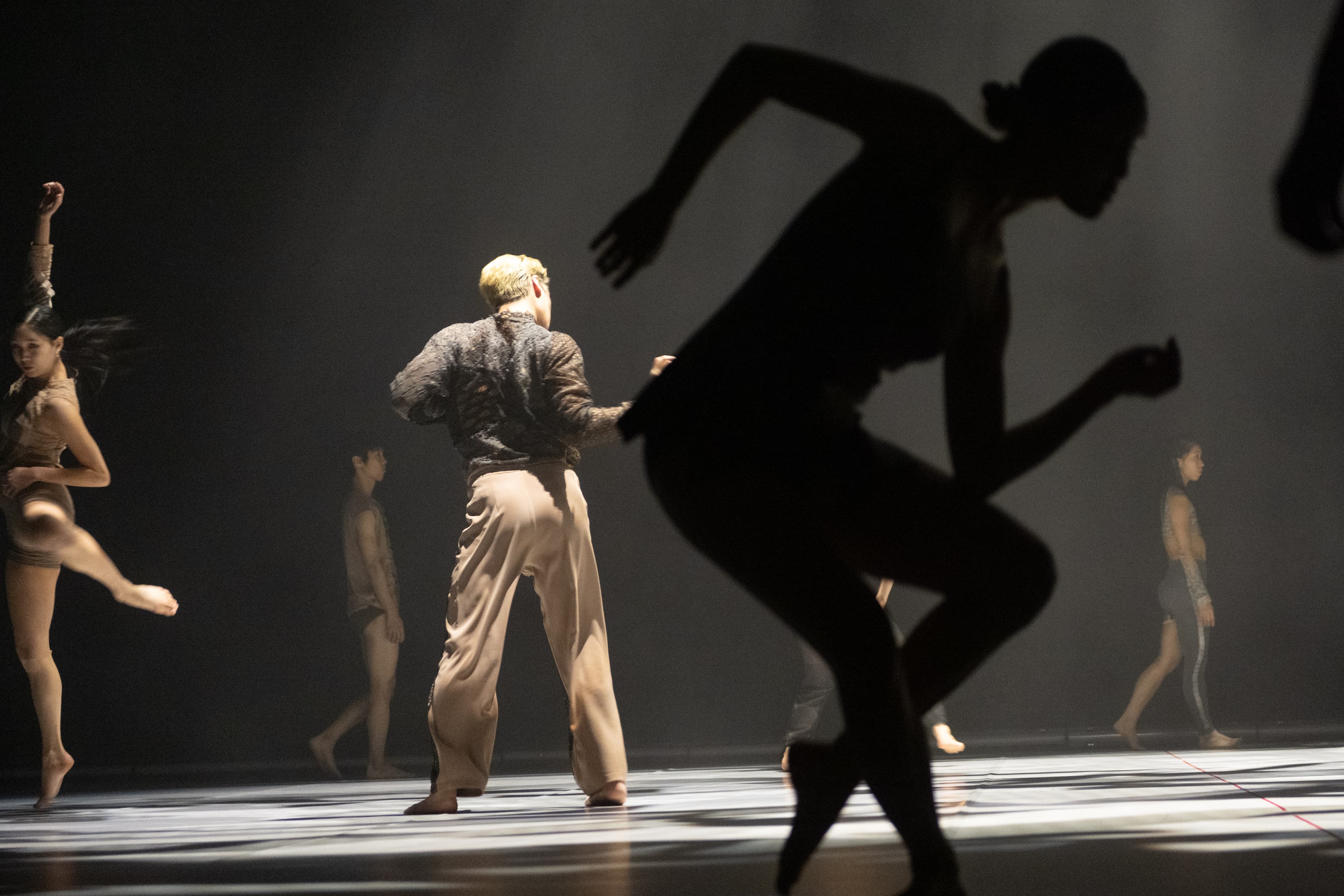 KOREA NATIONAL CONTEMPORANY DANCE COMPANY KNCDC "Jungle"