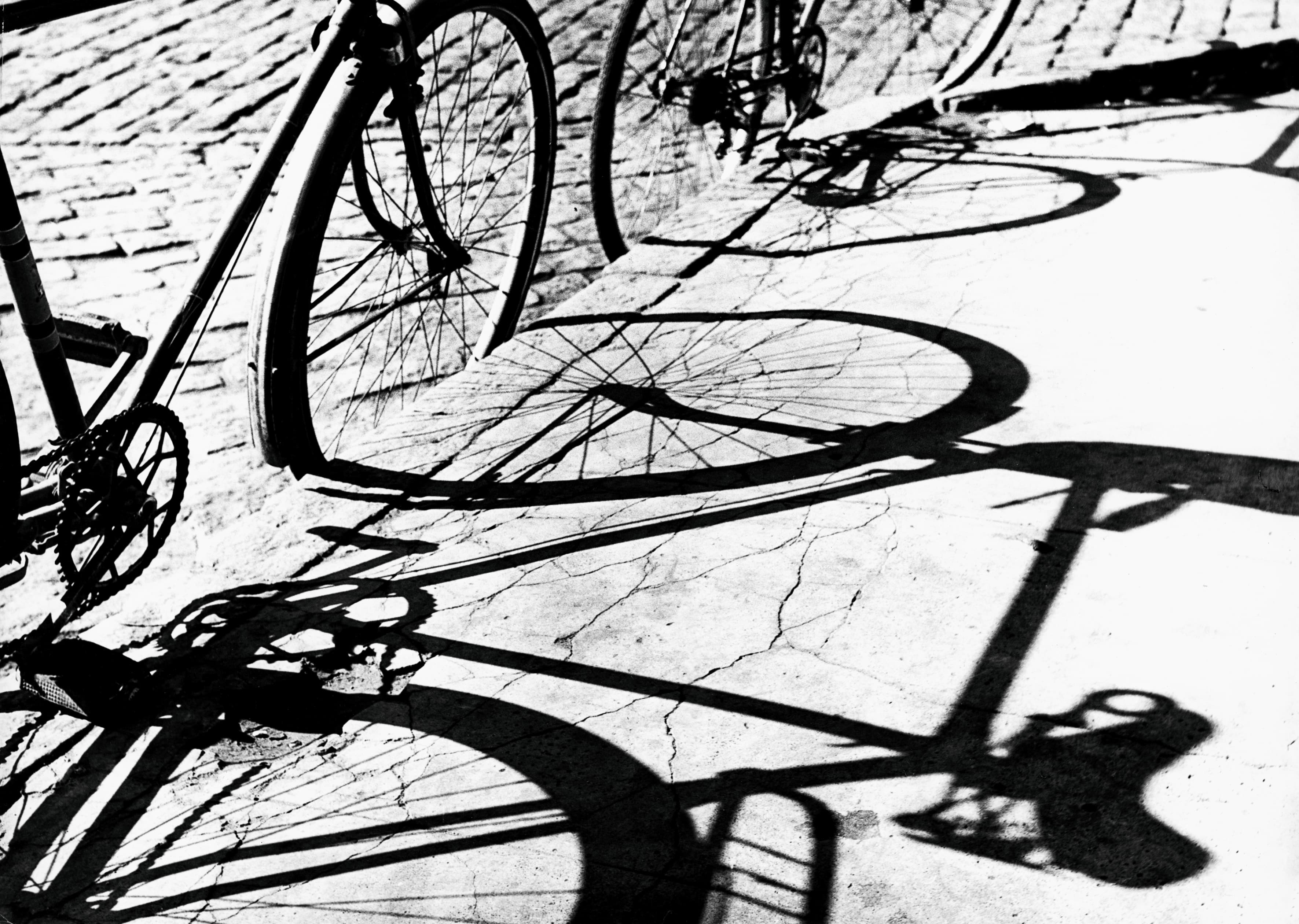 Palmira Puig. Perspectives revelades