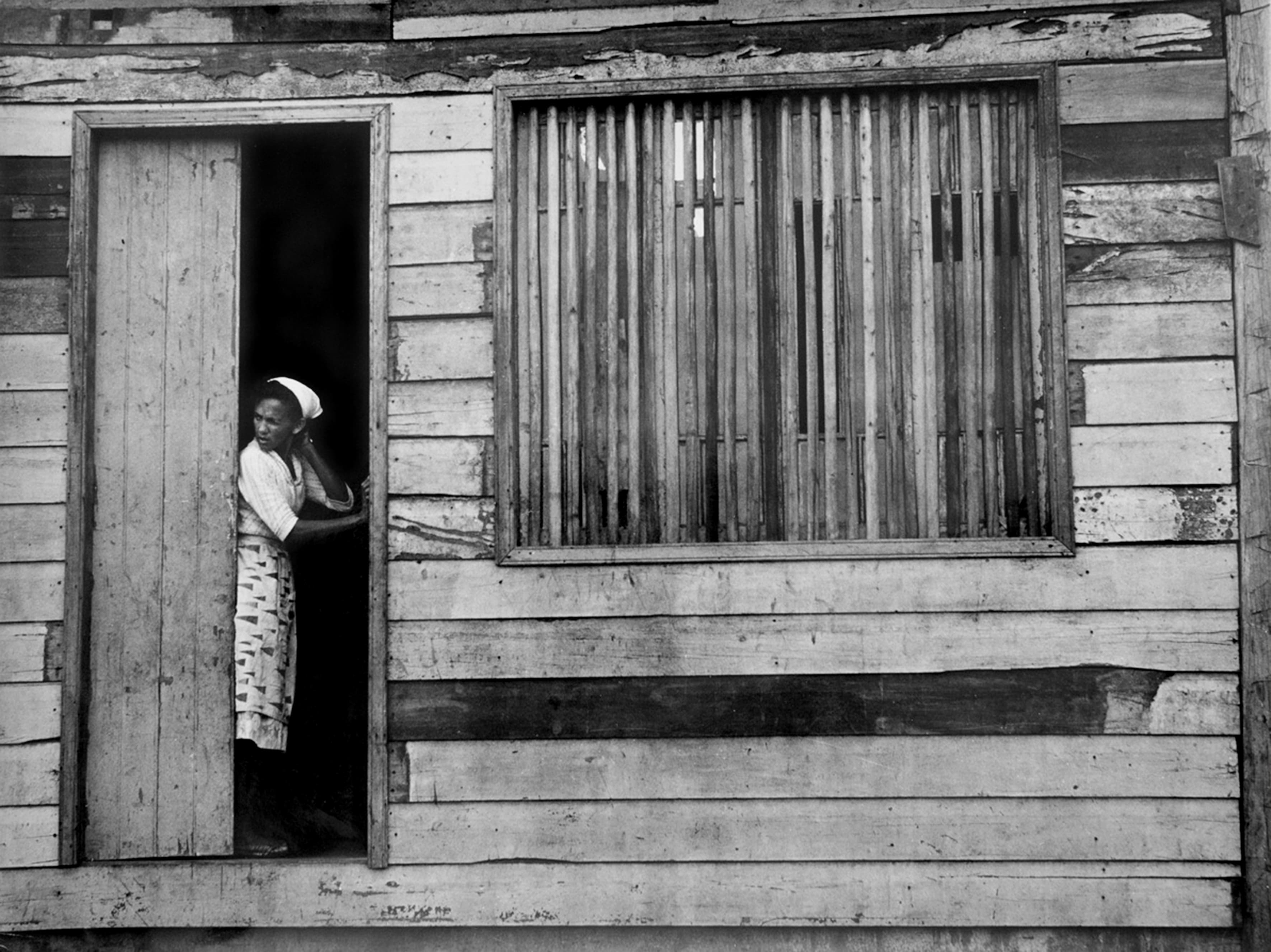 Palmira Puig. Perspectives revelades