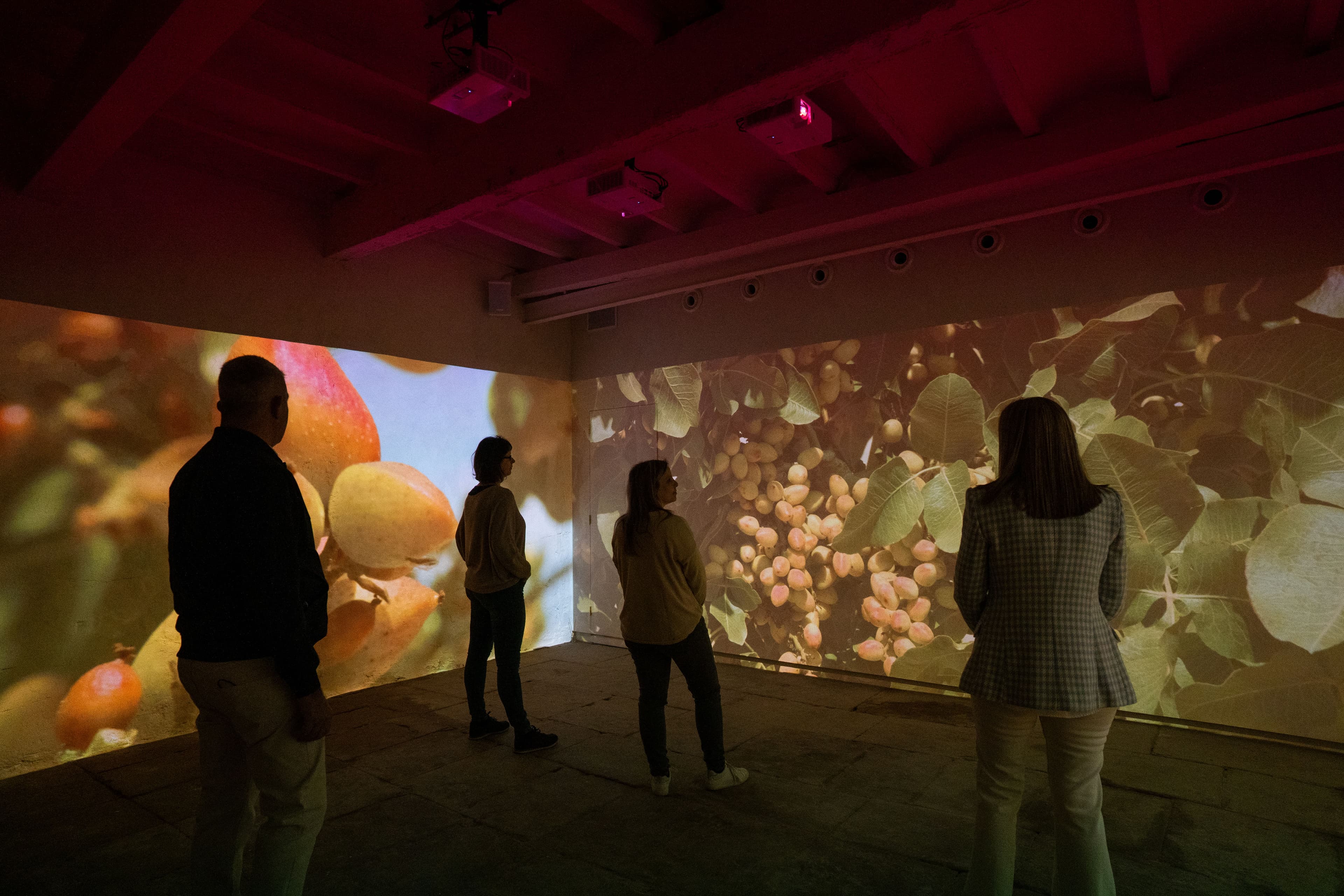 Visita a l'Experiència Borges - Mas de Colom