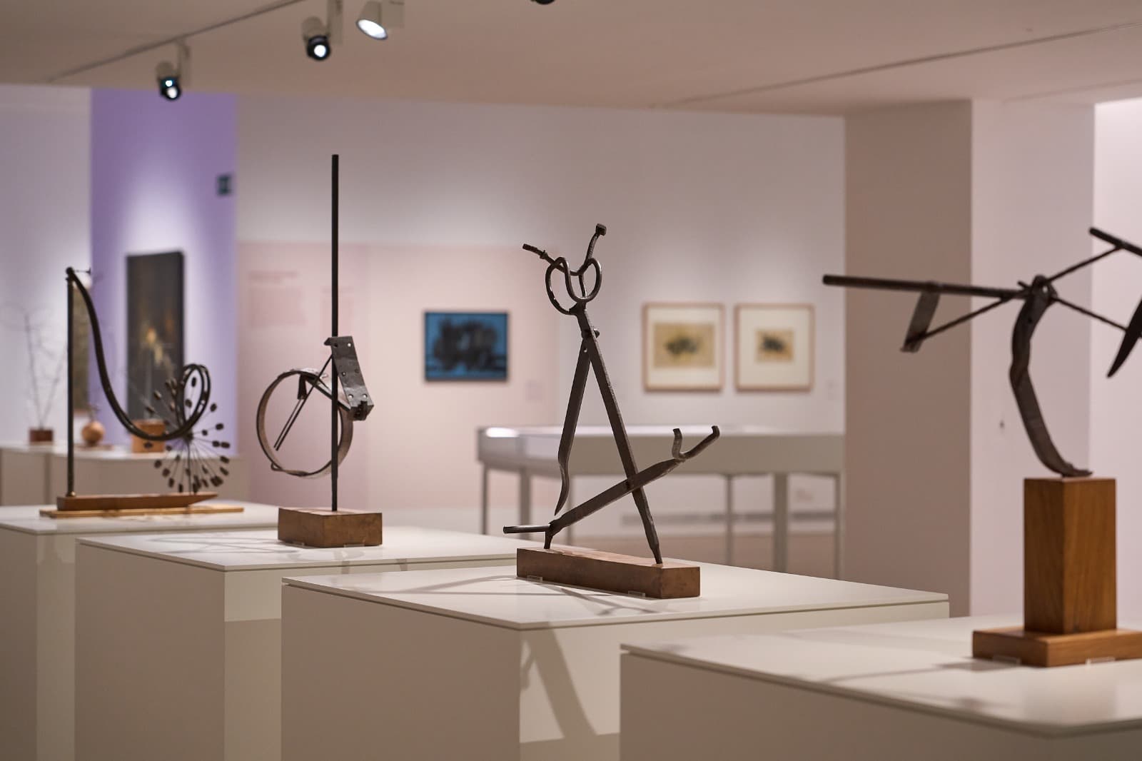Visita comentada a l'exposició de col·lecció