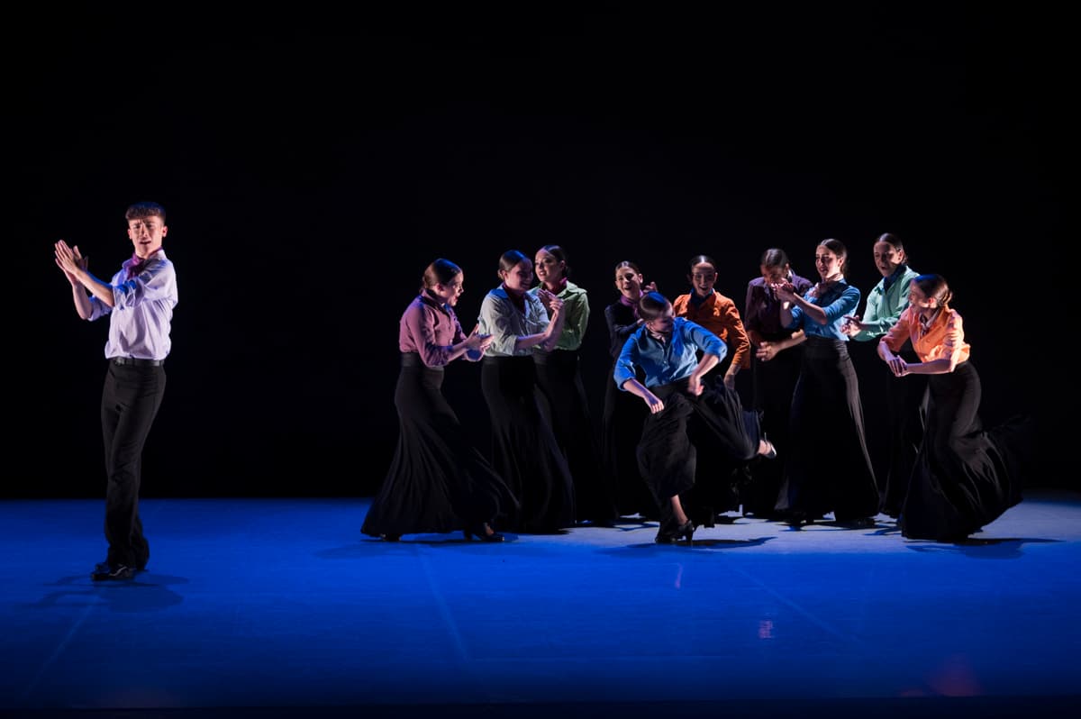 Dia del Flamenc / Conservatori Professional de Dansa - IT