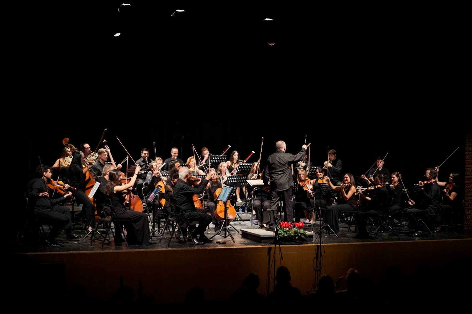 Un matí d'orquestra amb Kamerata Castellar