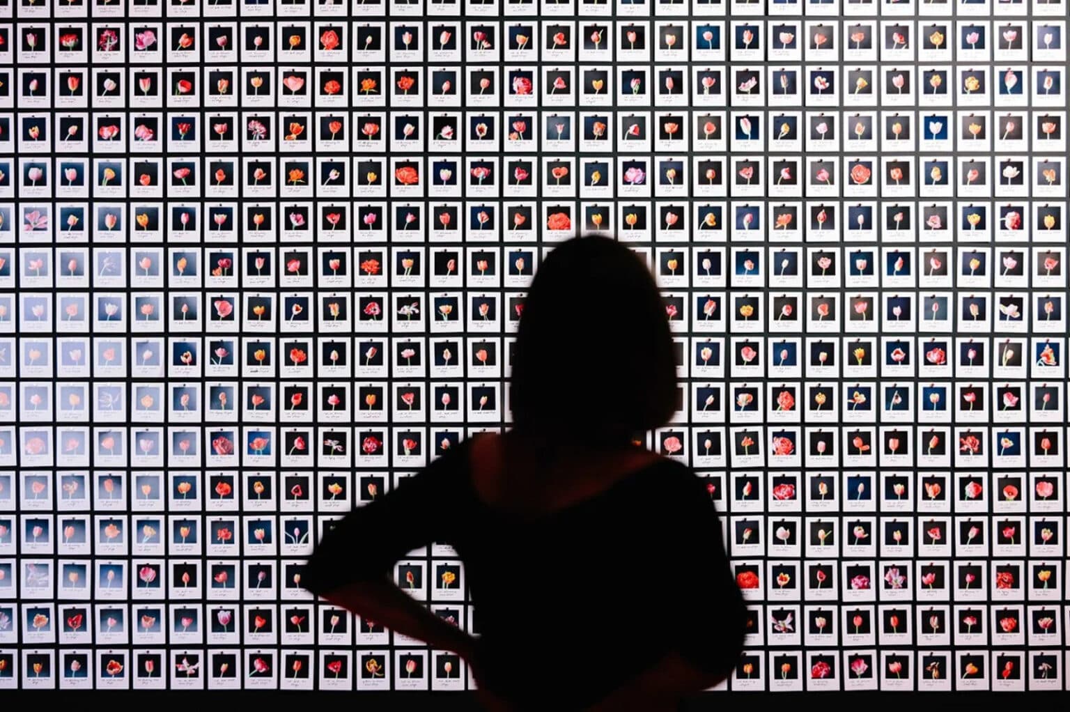 El sueño de la razón. Del Siglo de las Luces a la inteligencia artificial