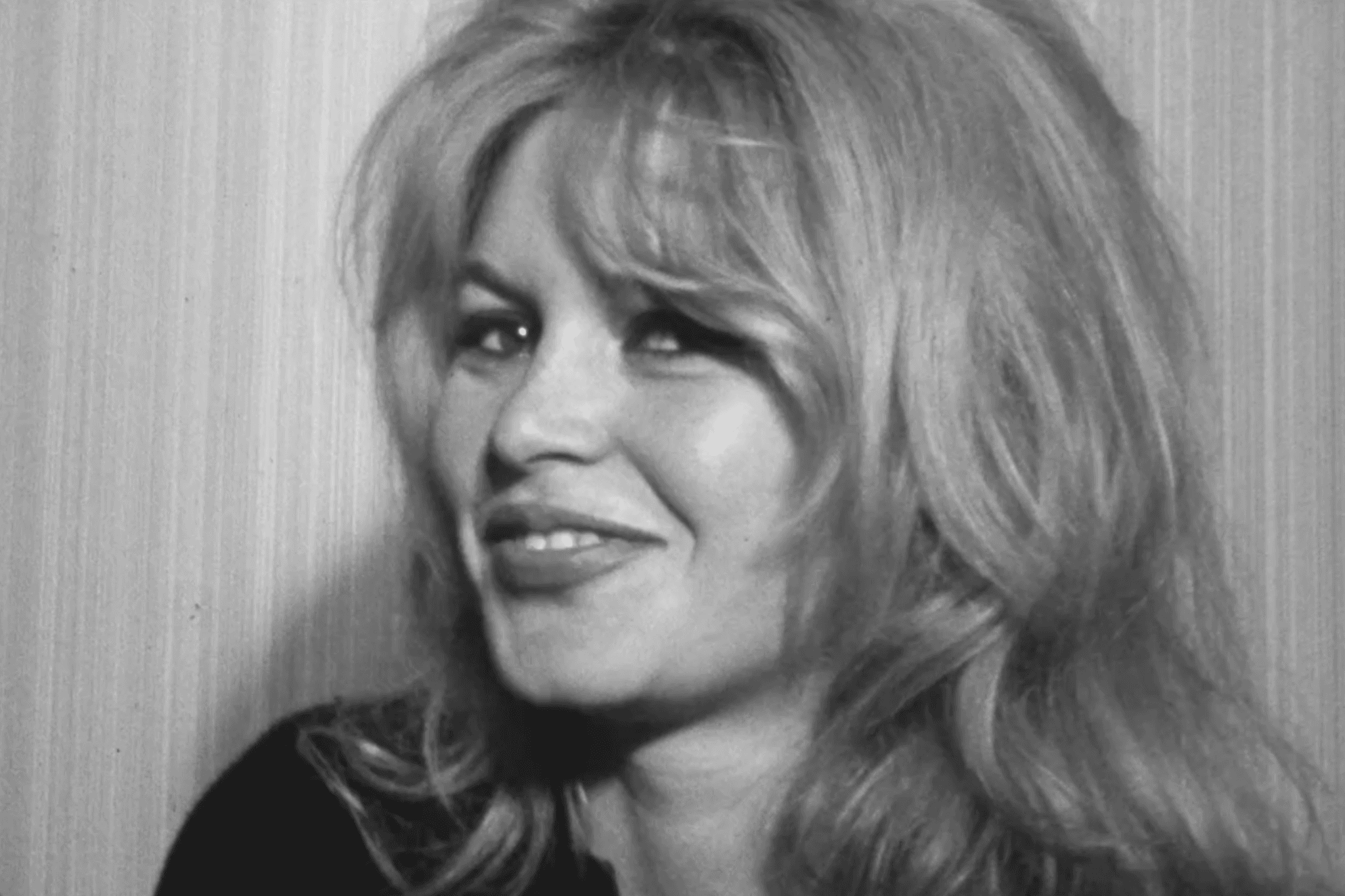Bardot