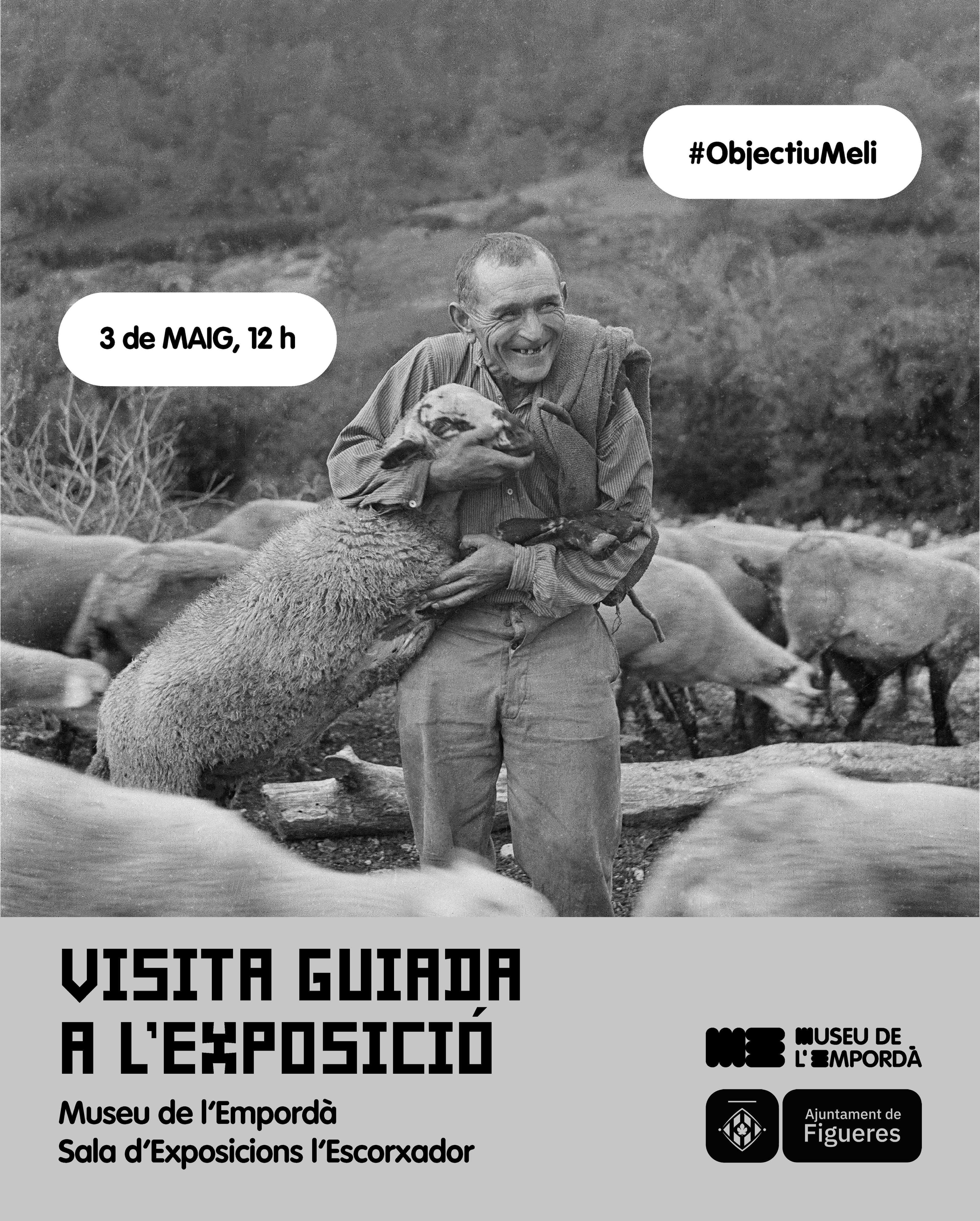 Visita comentada a l'exposició "Objectiu Meli"