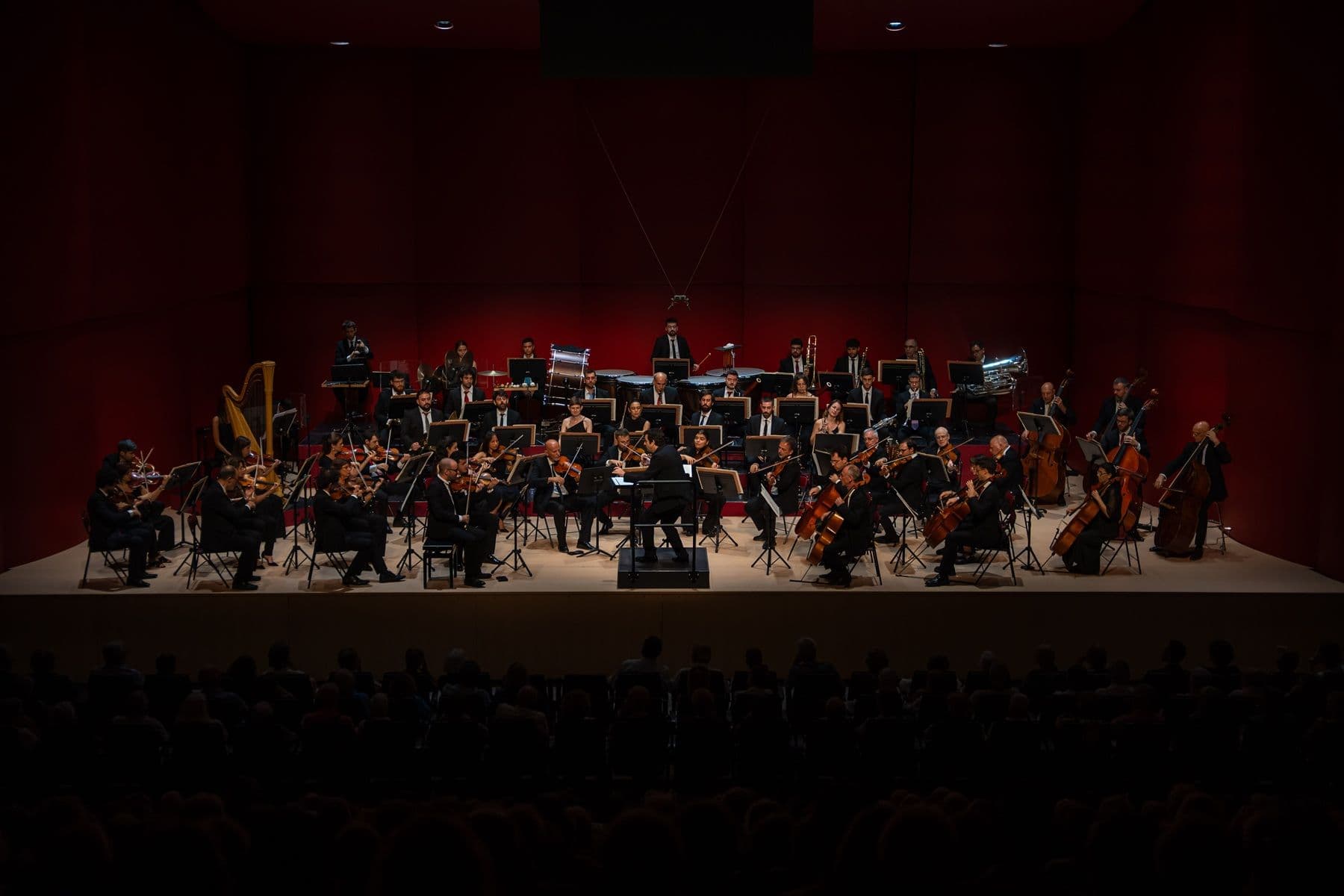 Orquestra Simfònica del Vallès & Pablo Ferrández
