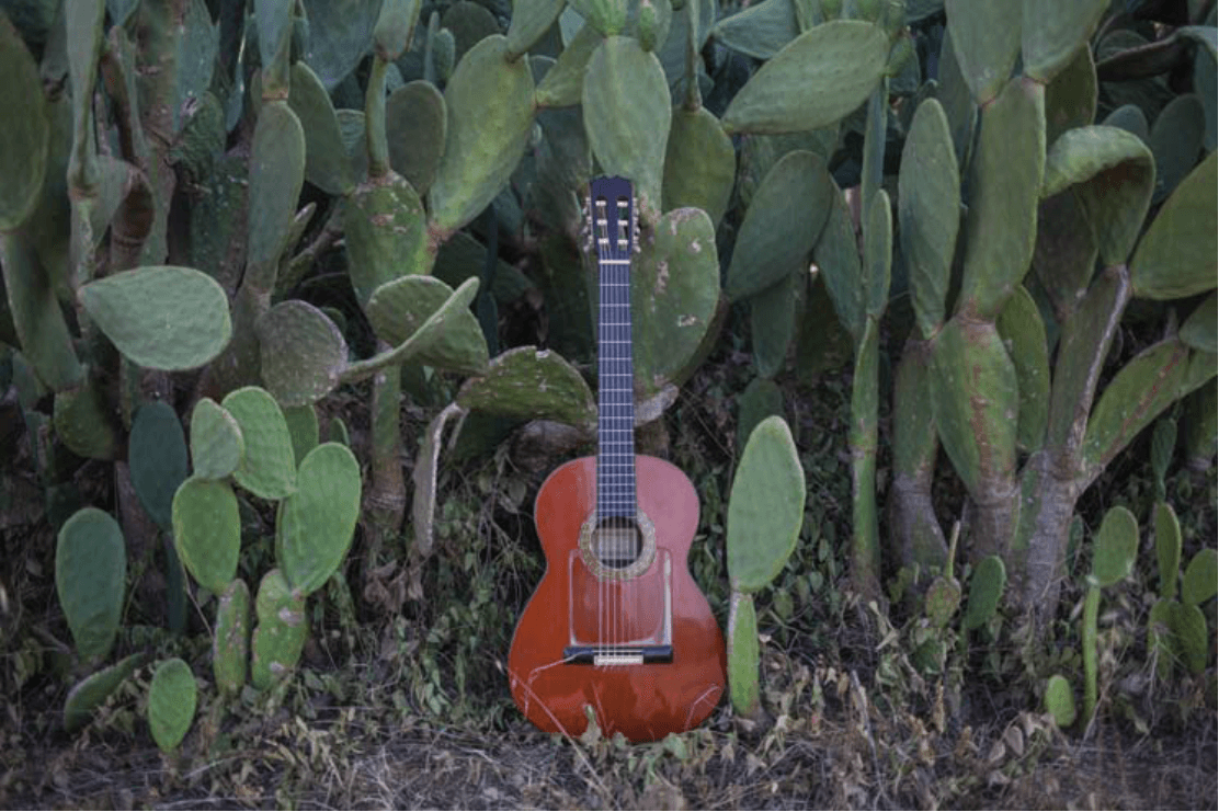 Contra les cordes - Les guitarres de Paco de Lucía
