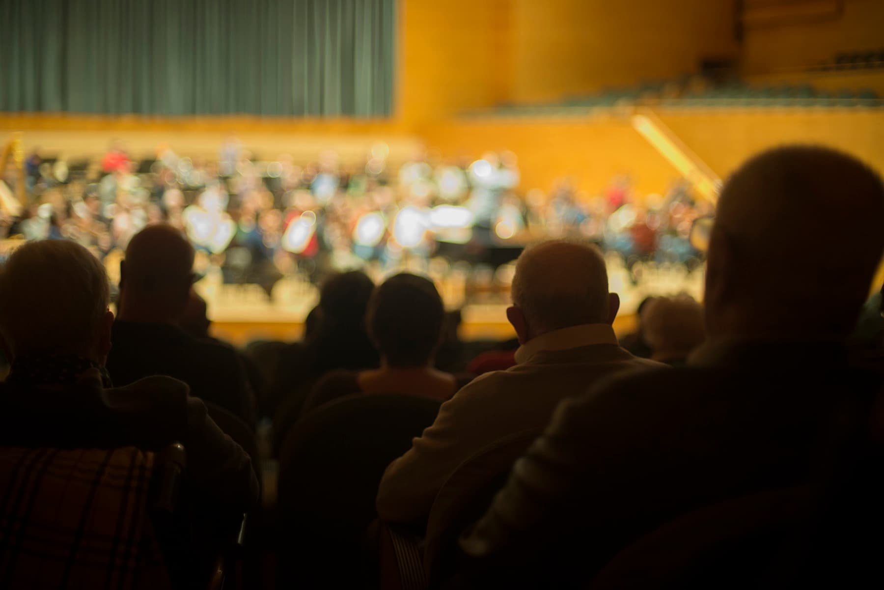 People with visual or hearing disability at a cultural activity